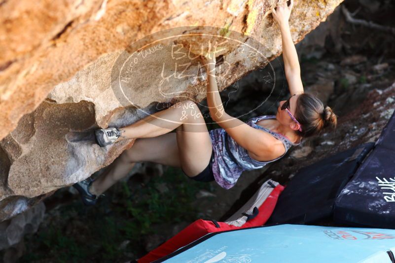 

Filename: SRM_20171020_1359471.jpg
Aperture: f/4.0
Shutter Speed: 1/320
Body: Canon EOS-1D Mark II
Lens: Canon EF 85mm f/1.2 L II