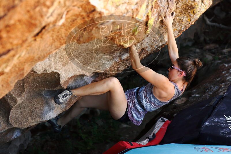 

Filename: SRM_20171020_1359493.jpg
Aperture: f/4.0
Shutter Speed: 1/500
Body: Canon EOS-1D Mark II
Lens: Canon EF 85mm f/1.2 L II