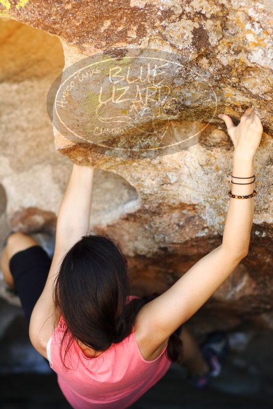 

Filename: SRM_20171020_1402341.jpg
Aperture: f/2.0
Shutter Speed: 1/2500
Body: Canon EOS-1D Mark II
Lens: Canon EF 85mm f/1.2 L II