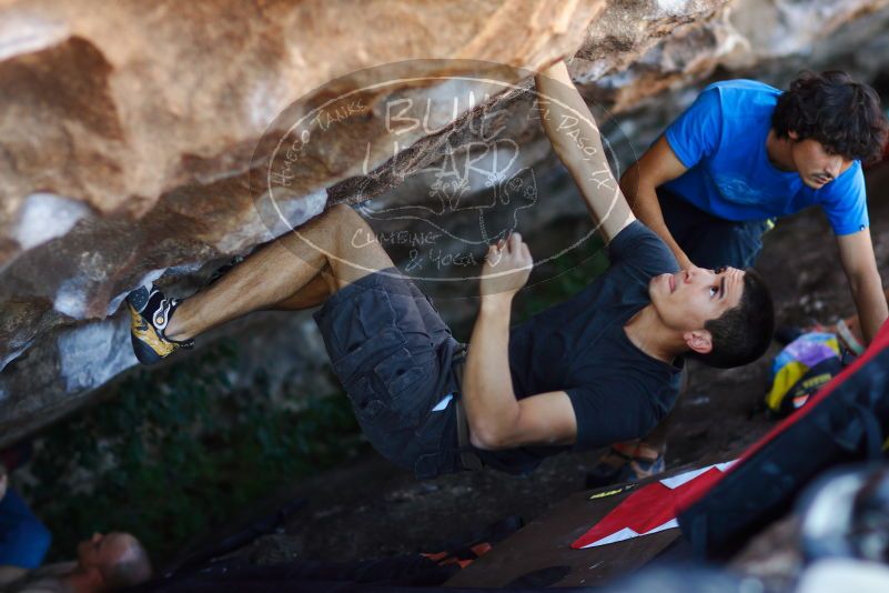 

Filename: SRM_20171020_1412130.jpg
Aperture: f/2.0
Shutter Speed: 1/640
Body: Canon EOS-1D Mark II
Lens: Canon EF 85mm f/1.2 L II