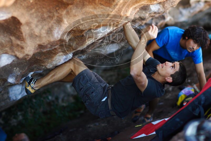 

Filename: SRM_20171020_1412131.jpg
Aperture: f/2.0
Shutter Speed: 1/800
Body: Canon EOS-1D Mark II
Lens: Canon EF 85mm f/1.2 L II