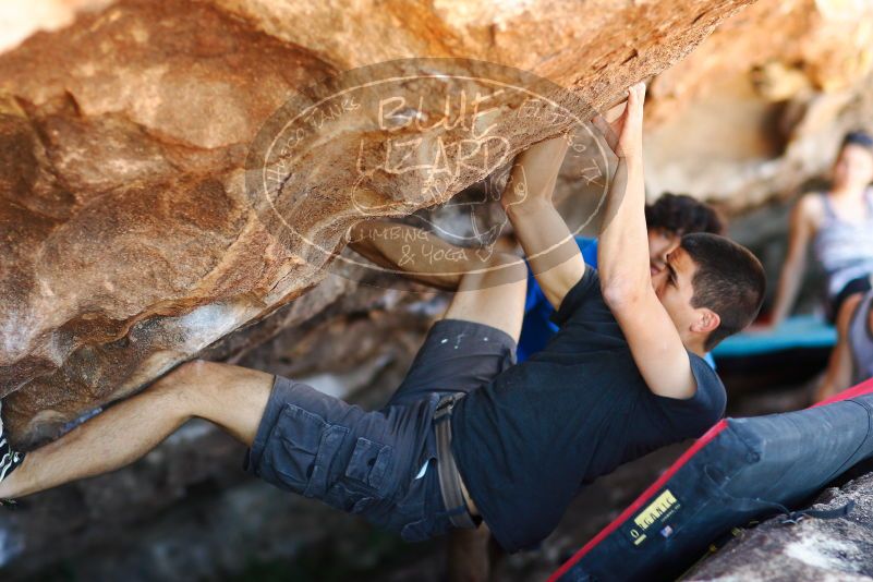 

Filename: SRM_20171020_1412200.jpg
Aperture: f/2.0
Shutter Speed: 1/1600
Body: Canon EOS-1D Mark II
Lens: Canon EF 85mm f/1.2 L II