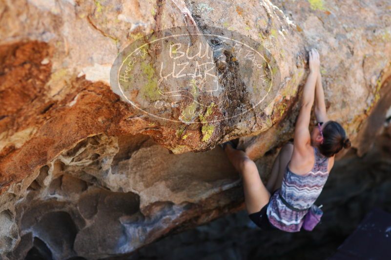 

Filename: SRM_20171020_1419250.jpg
Aperture: f/2.0
Shutter Speed: 1/4000
Body: Canon EOS-1D Mark II
Lens: Canon EF 85mm f/1.2 L II