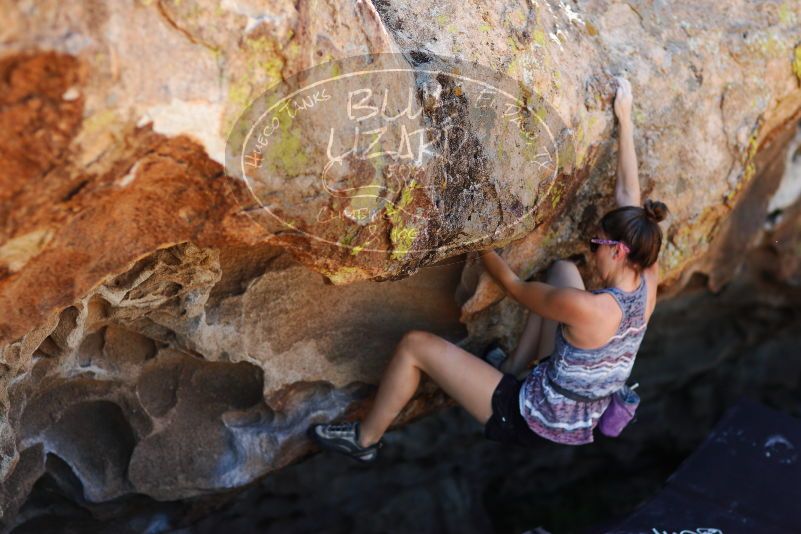 

Filename: SRM_20171020_1419280.jpg
Aperture: f/2.0
Shutter Speed: 1/4000
Body: Canon EOS-1D Mark II
Lens: Canon EF 85mm f/1.2 L II