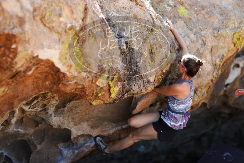 

Filename: SRM_20171020_1419301.jpg
Aperture: f/2.0
Shutter Speed: 1/5000
Body: Canon EOS-1D Mark II
Lens: Canon EF 85mm f/1.2 L II