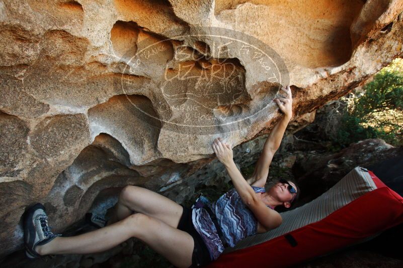 

Filename: SRM_20171020_1431260.jpg
Aperture: f/5.6
Shutter Speed: 1/320
Body: Canon EOS-1D Mark II
Lens: Canon EF 16-35mm f/2.8 L