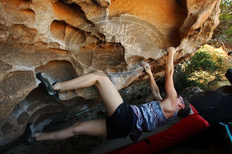 

Filename: SRM_20171020_1431330.jpg
Aperture: f/5.6
Shutter Speed: 1/400
Body: Canon EOS-1D Mark II
Lens: Canon EF 16-35mm f/2.8 L