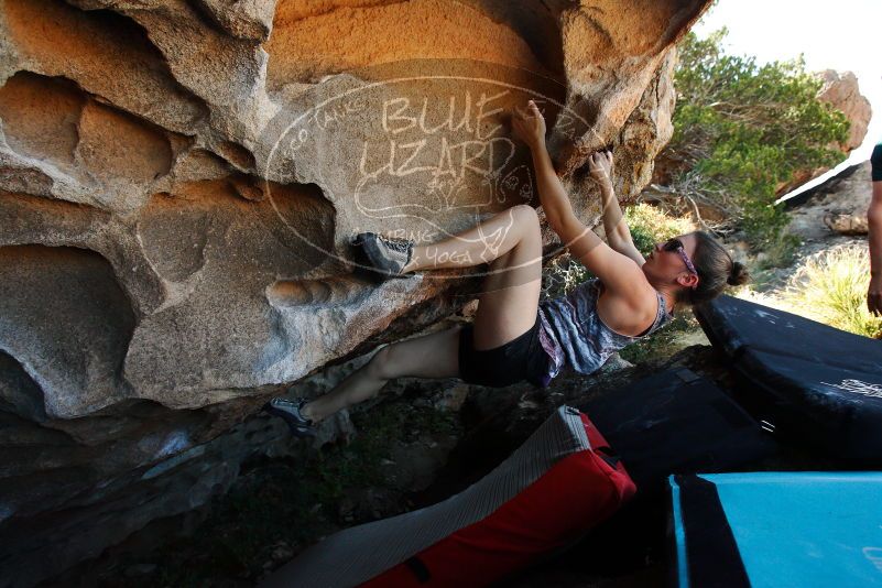 

Filename: SRM_20171020_1431391.jpg
Aperture: f/5.6
Shutter Speed: 1/400
Body: Canon EOS-1D Mark II
Lens: Canon EF 16-35mm f/2.8 L