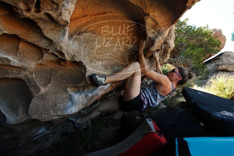 

Filename: SRM_20171020_1431401.jpg
Aperture: f/5.6
Shutter Speed: 1/640
Body: Canon EOS-1D Mark II
Lens: Canon EF 16-35mm f/2.8 L