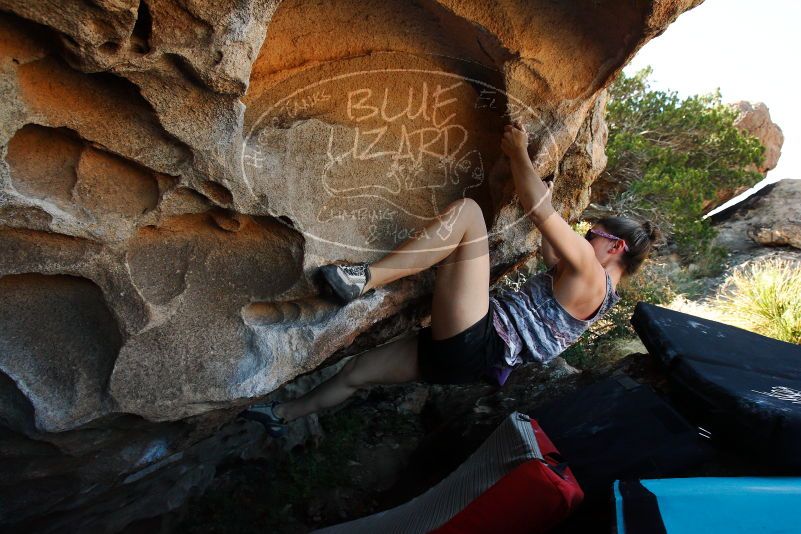 

Filename: SRM_20171020_1431410.jpg
Aperture: f/5.6
Shutter Speed: 1/500
Body: Canon EOS-1D Mark II
Lens: Canon EF 16-35mm f/2.8 L