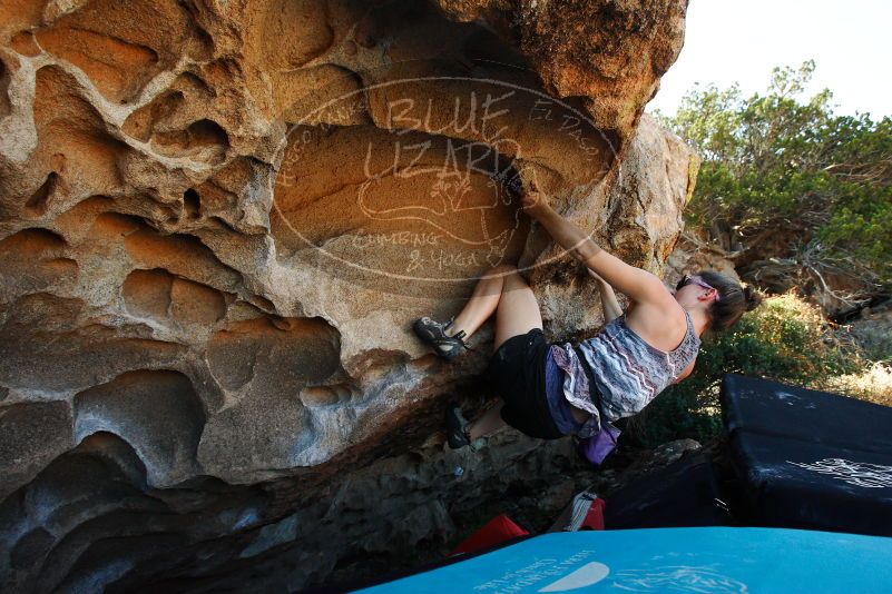 

Filename: SRM_20171020_1431470.jpg
Aperture: f/5.6
Shutter Speed: 1/640
Body: Canon EOS-1D Mark II
Lens: Canon EF 16-35mm f/2.8 L