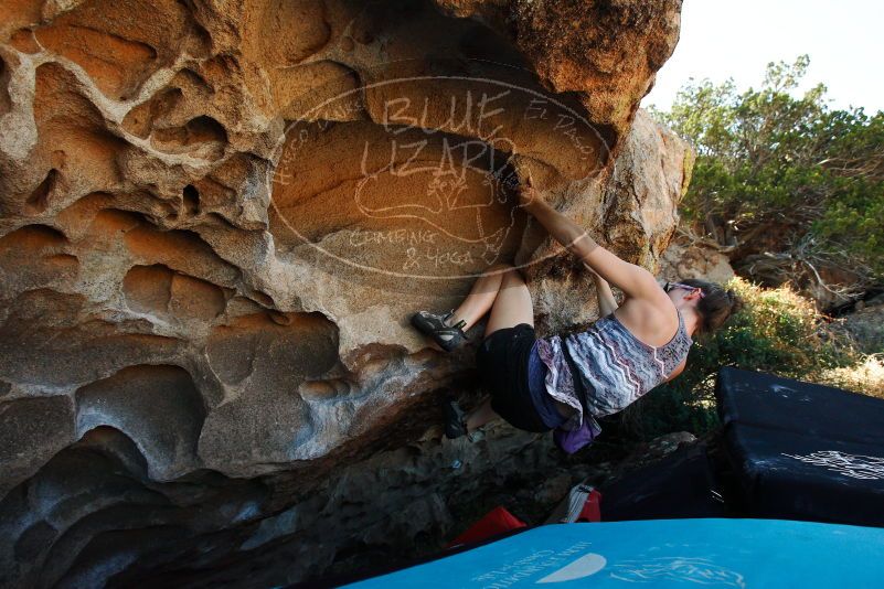 

Filename: SRM_20171020_1431472.jpg
Aperture: f/5.6
Shutter Speed: 1/640
Body: Canon EOS-1D Mark II
Lens: Canon EF 16-35mm f/2.8 L