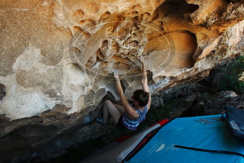 

Filename: SRM_20171020_1449110.jpg
Aperture: f/5.6
Shutter Speed: 1/250
Body: Canon EOS-1D Mark II
Lens: Canon EF 16-35mm f/2.8 L