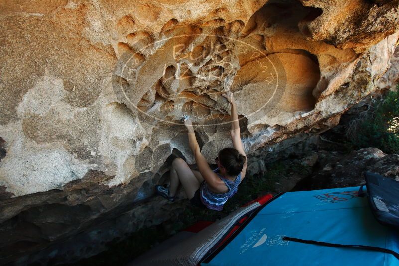 

Filename: SRM_20171020_1449111.jpg
Aperture: f/5.6
Shutter Speed: 1/250
Body: Canon EOS-1D Mark II
Lens: Canon EF 16-35mm f/2.8 L