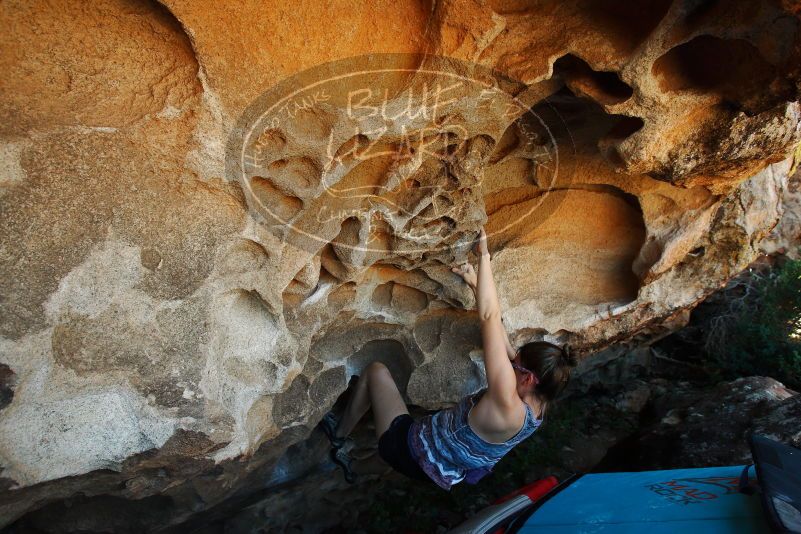 

Filename: SRM_20171020_1449160.jpg
Aperture: f/5.6
Shutter Speed: 1/250
Body: Canon EOS-1D Mark II
Lens: Canon EF 16-35mm f/2.8 L