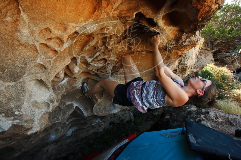 

Filename: SRM_20171020_1449240.jpg
Aperture: f/5.6
Shutter Speed: 1/320
Body: Canon EOS-1D Mark II
Lens: Canon EF 16-35mm f/2.8 L