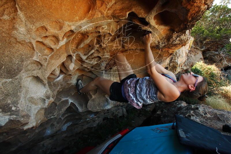 

Filename: SRM_20171020_1449241.jpg
Aperture: f/5.6
Shutter Speed: 1/320
Body: Canon EOS-1D Mark II
Lens: Canon EF 16-35mm f/2.8 L