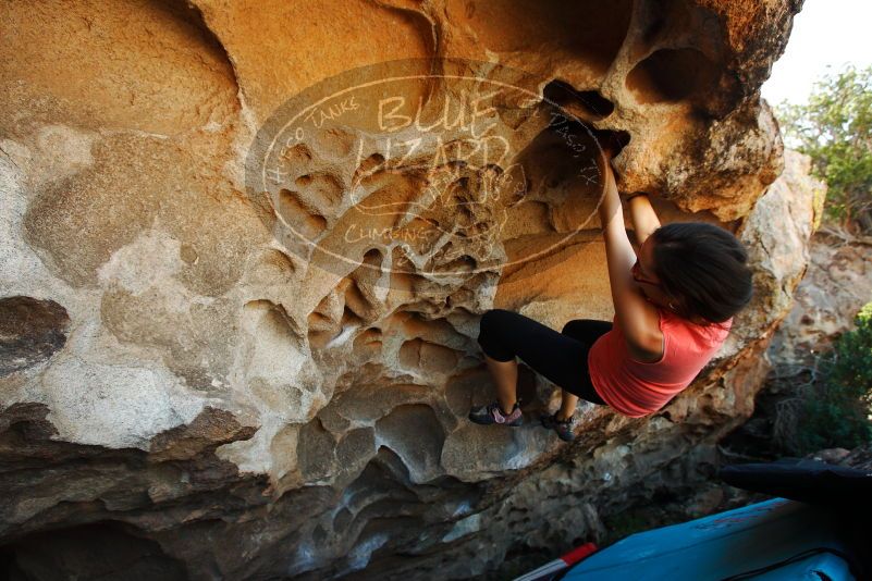 

Filename: SRM_20171020_1452131.jpg
Aperture: f/5.6
Shutter Speed: 1/250
Body: Canon EOS-1D Mark II
Lens: Canon EF 16-35mm f/2.8 L