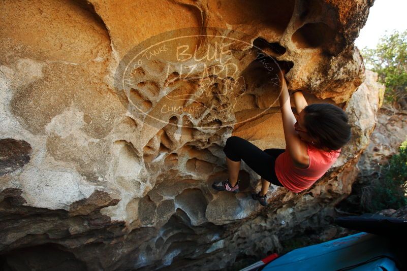 

Filename: SRM_20171020_1452132.jpg
Aperture: f/5.6
Shutter Speed: 1/250
Body: Canon EOS-1D Mark II
Lens: Canon EF 16-35mm f/2.8 L