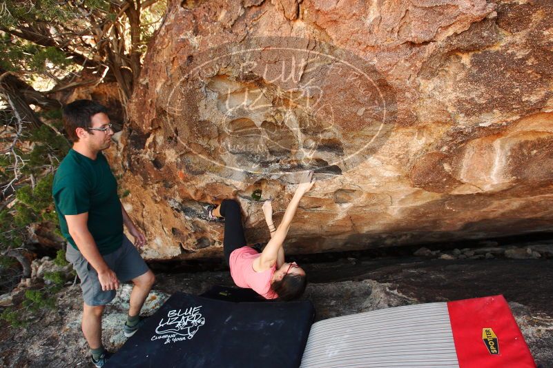 

Filename: SRM_20171020_1533060.jpg
Aperture: f/5.6
Shutter Speed: 1/160
Body: Canon EOS-1D Mark II
Lens: Canon EF 16-35mm f/2.8 L