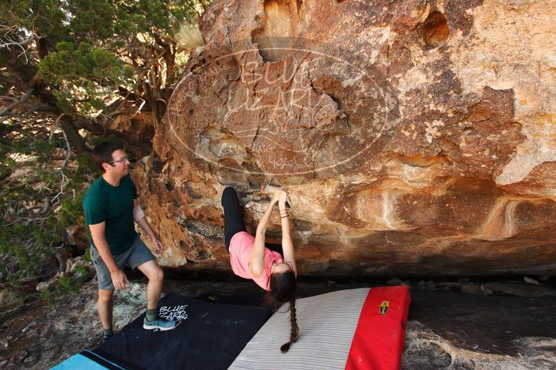 

Filename: SRM_20171020_1533290.jpg
Aperture: f/5.6
Shutter Speed: 1/200
Body: Canon EOS-1D Mark II
Lens: Canon EF 16-35mm f/2.8 L