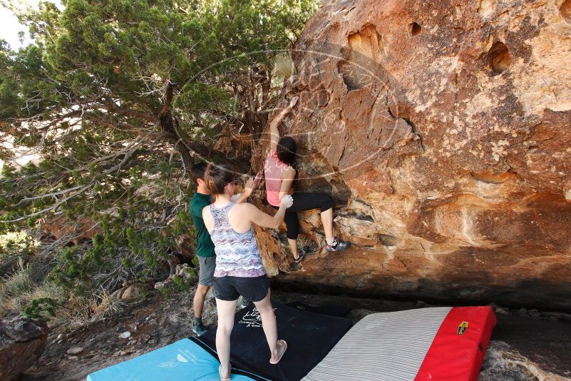 

Filename: SRM_20171020_1536450.jpg
Aperture: f/5.6
Shutter Speed: 1/200
Body: Canon EOS-1D Mark II
Lens: Canon EF 16-35mm f/2.8 L