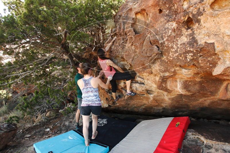 

Filename: SRM_20171020_1536470.jpg
Aperture: f/5.6
Shutter Speed: 1/200
Body: Canon EOS-1D Mark II
Lens: Canon EF 16-35mm f/2.8 L