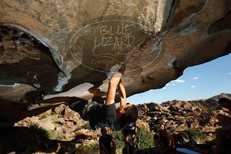 

Filename: SRM_20171020_1644090.jpg
Aperture: f/8.0
Shutter Speed: 1/250
Body: Canon EOS-1D Mark II
Lens: Canon EF 16-35mm f/2.8 L