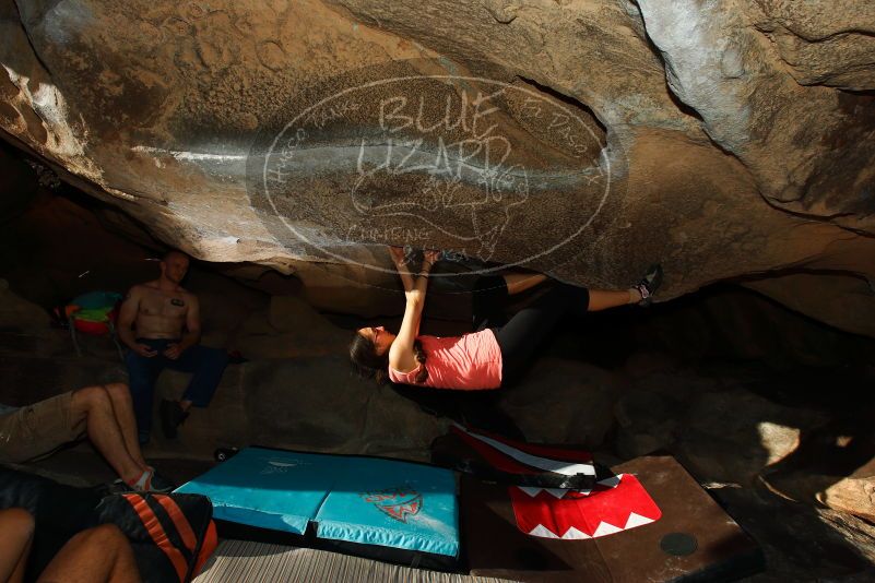 

Filename: SRM_20171020_1659470.jpg
Aperture: f/8.0
Shutter Speed: 1/250
Body: Canon EOS-1D Mark II
Lens: Canon EF 16-35mm f/2.8 L