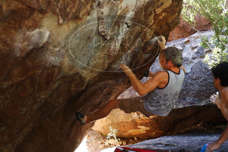 

Filename: SRM_20171020_1125360.jpg
Aperture: f/2.8
Shutter Speed: 1/400
Body: Canon EOS-1D Mark II
Lens: Canon EF 50mm f/1.8 II