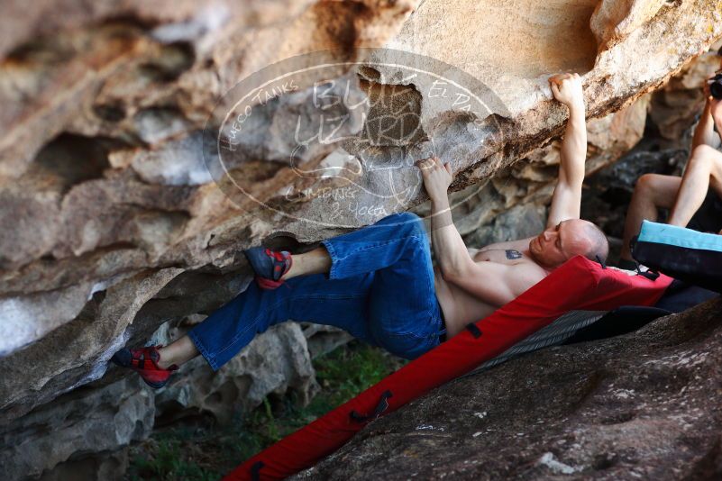 

Filename: SRM_20171020_1348582.jpg
Aperture: f/4.0
Shutter Speed: 1/200
Body: Canon EOS-1D Mark II
Lens: Canon EF 85mm f/1.2 L II