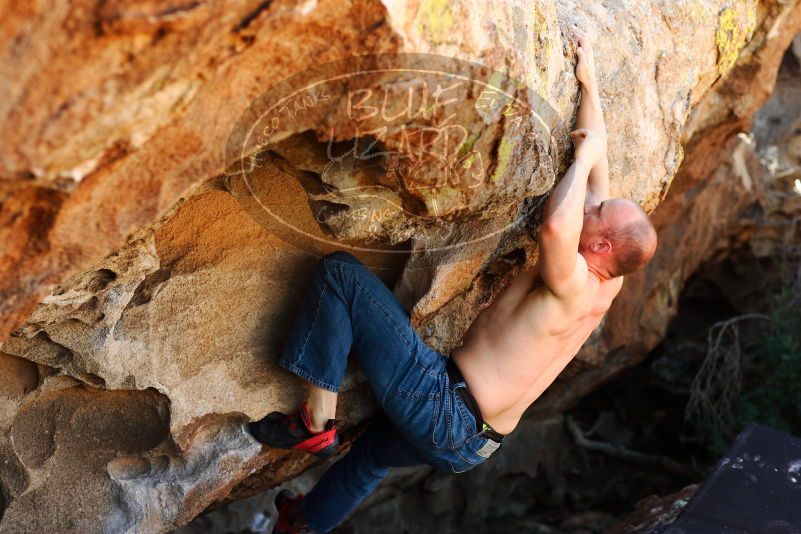 

Filename: SRM_20171020_1354261.jpg
Aperture: f/4.0
Shutter Speed: 1/640
Body: Canon EOS-1D Mark II
Lens: Canon EF 85mm f/1.2 L II