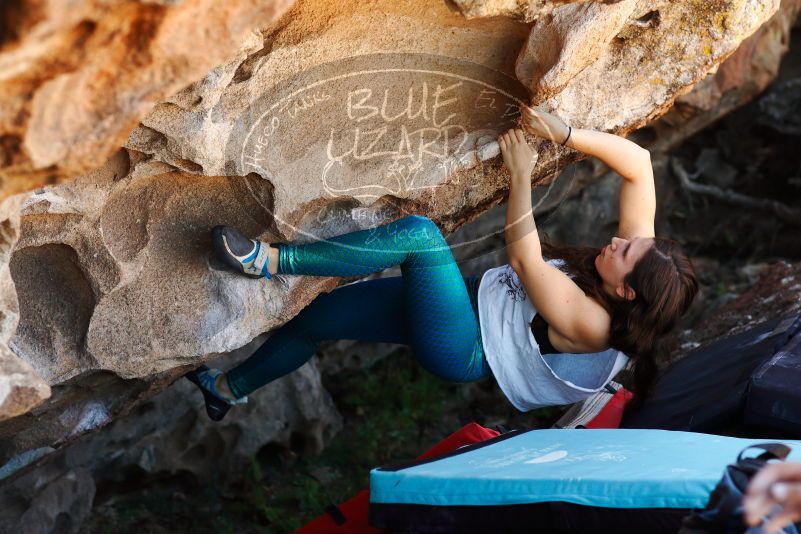 

Filename: SRM_20171020_1355342.jpg
Aperture: f/4.0
Shutter Speed: 1/400
Body: Canon EOS-1D Mark II
Lens: Canon EF 85mm f/1.2 L II