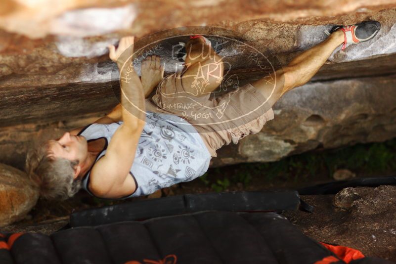 

Filename: SRM_20171020_1407470.jpg
Aperture: f/2.0
Shutter Speed: 1/640
Body: Canon EOS-1D Mark II
Lens: Canon EF 85mm f/1.2 L II