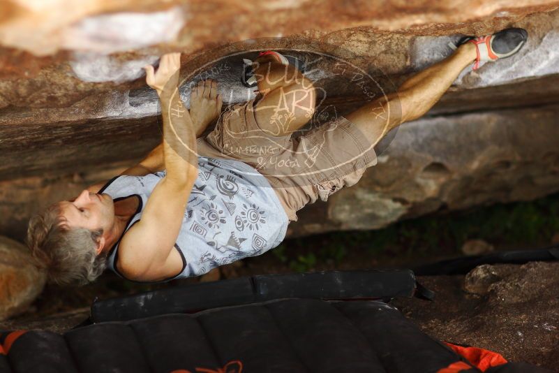 

Filename: SRM_20171020_1407471.jpg
Aperture: f/2.0
Shutter Speed: 1/640
Body: Canon EOS-1D Mark II
Lens: Canon EF 85mm f/1.2 L II