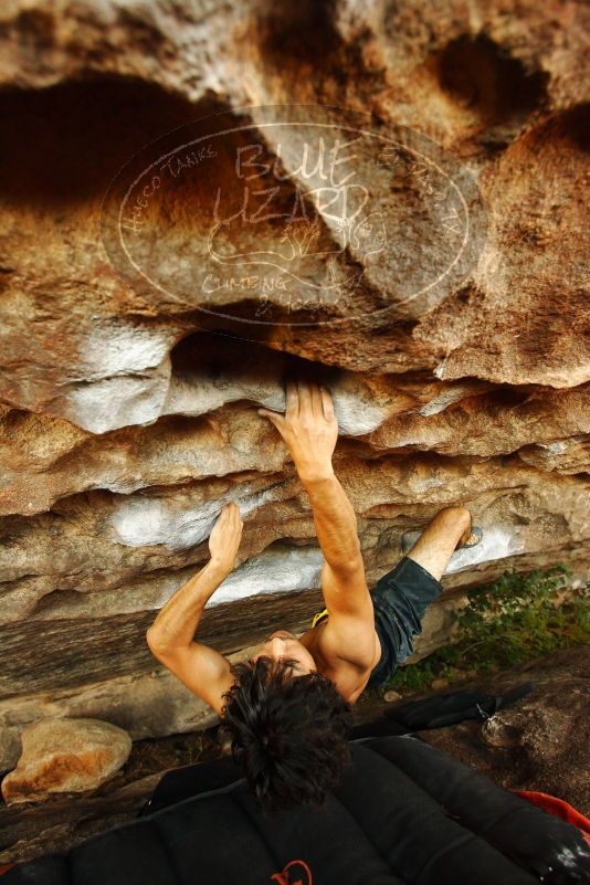 

Filename: SRM_20171020_1426411.jpg
Aperture: f/4.0
Shutter Speed: 1/100
Body: Canon EOS-1D Mark II
Lens: Canon EF 16-35mm f/2.8 L