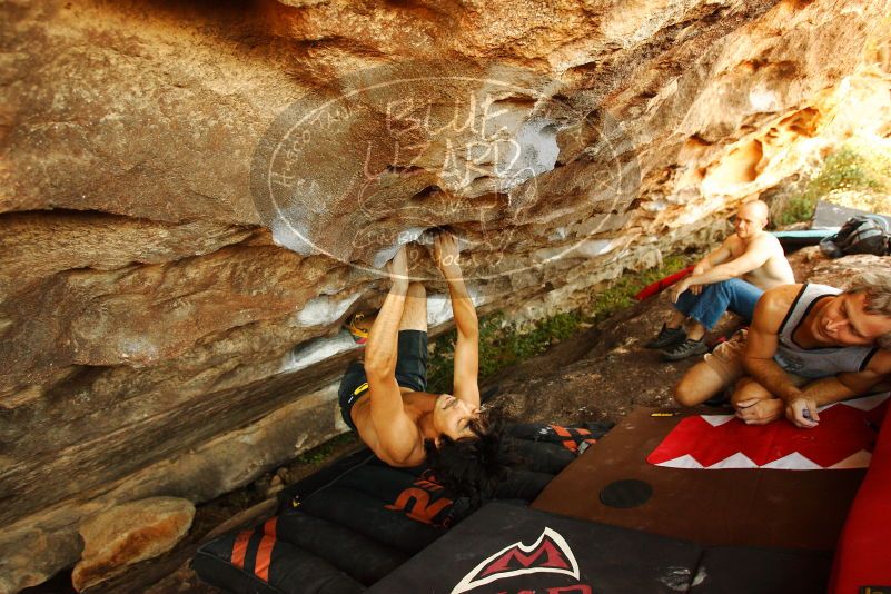 

Filename: SRM_20171020_1426570.jpg
Aperture: f/4.0
Shutter Speed: 1/125
Body: Canon EOS-1D Mark II
Lens: Canon EF 16-35mm f/2.8 L