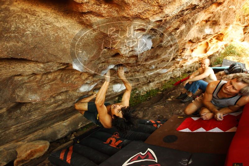 

Filename: SRM_20171020_1427030.jpg
Aperture: f/4.0
Shutter Speed: 1/160
Body: Canon EOS-1D Mark II
Lens: Canon EF 16-35mm f/2.8 L