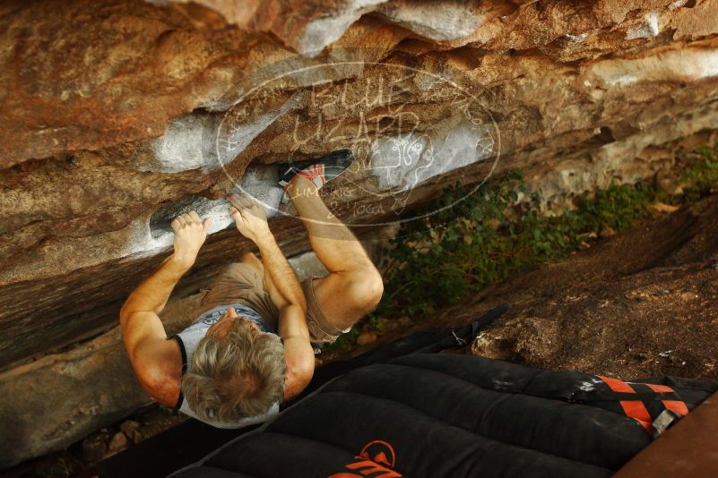 

Filename: SRM_20171020_1429020.jpg
Aperture: f/4.0
Shutter Speed: 1/200
Body: Canon EOS-1D Mark II
Lens: Canon EF 16-35mm f/2.8 L