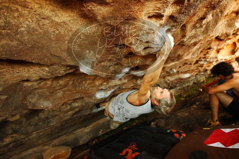 

Filename: SRM_20171020_1429500.jpg
Aperture: f/4.0
Shutter Speed: 1/250
Body: Canon EOS-1D Mark II
Lens: Canon EF 16-35mm f/2.8 L