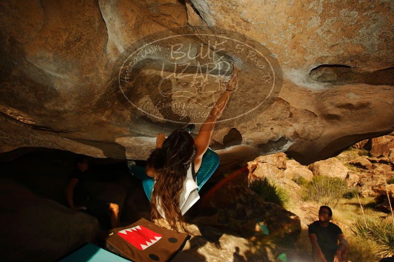 

Filename: SRM_20171020_1631390.jpg
Aperture: f/8.0
Shutter Speed: 1/250
Body: Canon EOS-1D Mark II
Lens: Canon EF 16-35mm f/2.8 L