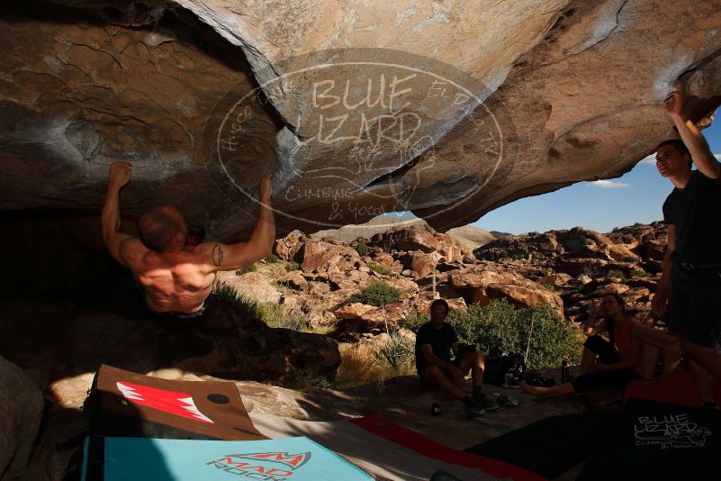 

Filename: SRM_20171020_1634560.jpg
Aperture: f/8.0
Shutter Speed: 1/250
Body: Canon EOS-1D Mark II
Lens: Canon EF 16-35mm f/2.8 L