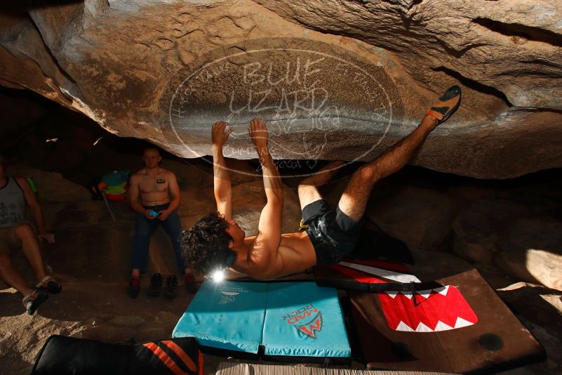 

Filename: SRM_20171020_1649480.jpg
Aperture: f/8.0
Shutter Speed: 1/250
Body: Canon EOS-1D Mark II
Lens: Canon EF 16-35mm f/2.8 L