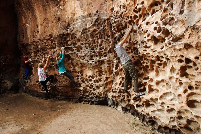 

Filename: SRM_20171118_1039450.jpg
Aperture: f/6.3
Shutter Speed: 1/100
Body: Canon EOS-1D Mark II
Lens: Canon EF 16-35mm f/2.8 L