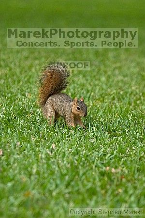 

Filename: crw_3583_std.jpg
Aperture: f/4.0
Shutter Speed: 1/320
Body: Canon EOS DIGITAL REBEL
Lens: Canon EF 80-200mm f/2.8 L