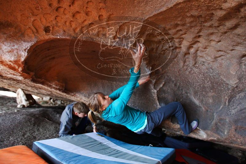 

Filename: SRM_20171118_1224100.jpg
Aperture: f/2.8
Shutter Speed: 1/160
Body: Canon EOS-1D Mark II
Lens: Canon EF 16-35mm f/2.8 L