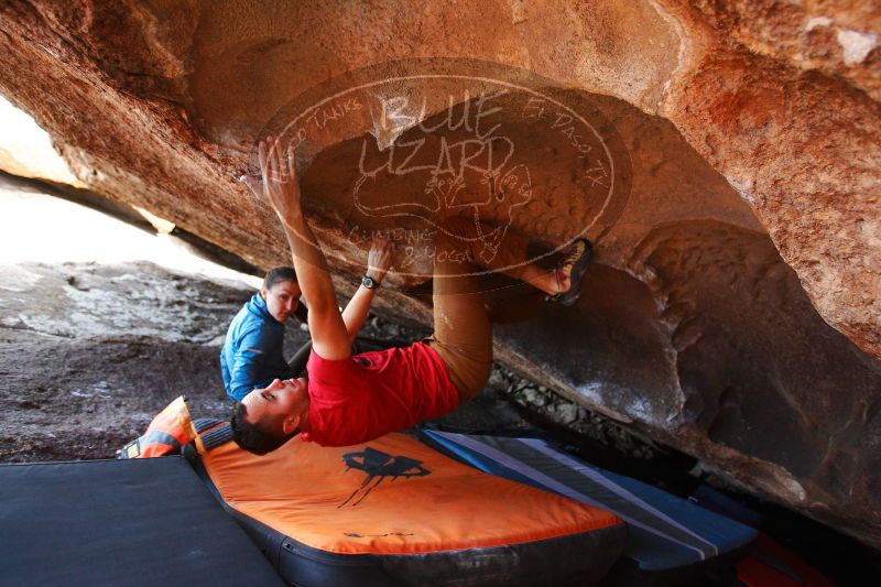 

Filename: SRM_20171118_1246090.jpg
Aperture: f/3.2
Shutter Speed: 1/320
Body: Canon EOS-1D Mark II
Lens: Canon EF 16-35mm f/2.8 L