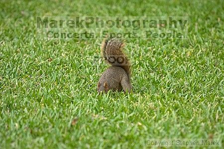 

Filename: crw_3582_std.jpg
Aperture: f/3.5
Shutter Speed: 1/320
Body: Canon EOS DIGITAL REBEL
Lens: Canon EF 80-200mm f/2.8 L