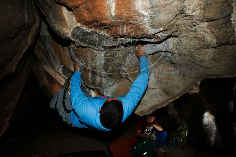 

Filename: SRM_20171118_1353040.jpg
Aperture: f/8.0
Shutter Speed: 1/200
Body: Canon EOS-1D Mark II
Lens: Canon EF 16-35mm f/2.8 L