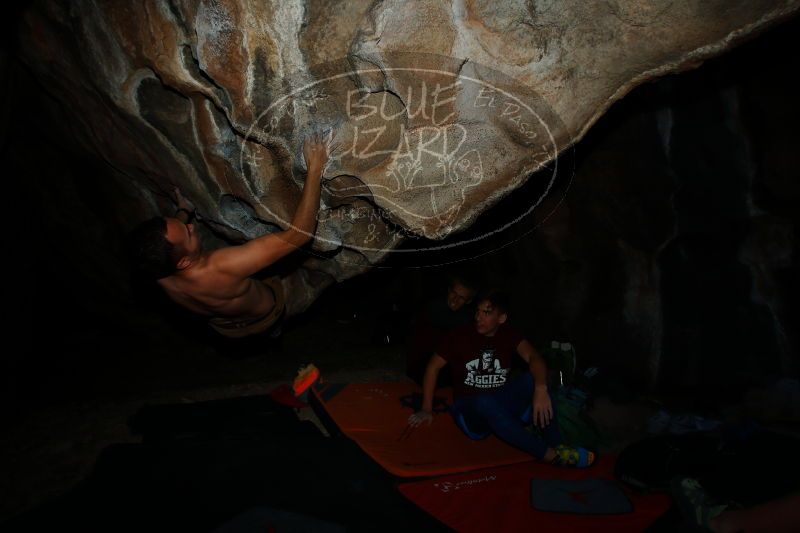 

Filename: SRM_20171118_1402280.jpg
Aperture: f/8.0
Shutter Speed: 1/40
Body: Canon EOS-1D Mark II
Lens: Canon EF 16-35mm f/2.8 L